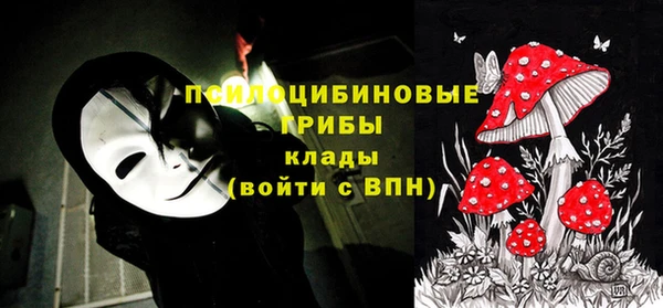 кокаин премиум Няндома