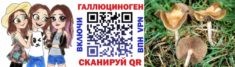 Купить  Кочубеевское  Галлюциногенные грибы ЛСД 